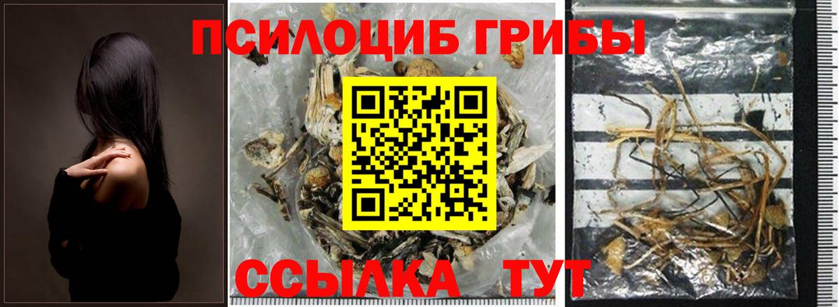 Псилоцибиновые грибы Psilocybine cubensis  Псилоцибиновые грибы мицелий  Вход с VPN  Волжский 
